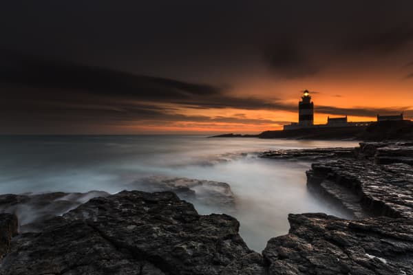 Security & Investigations